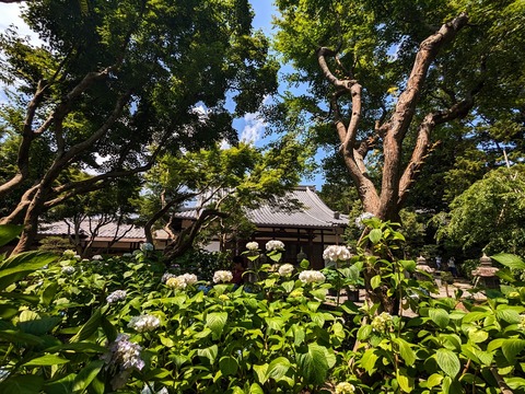 05.本堂前11