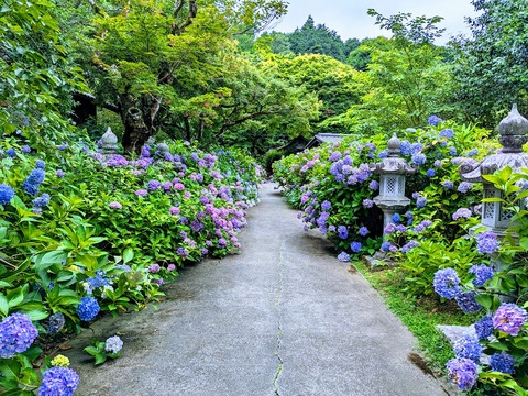 参道