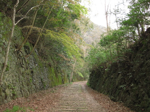 画像 032