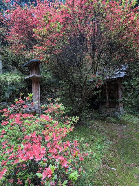 灯篭と境内社