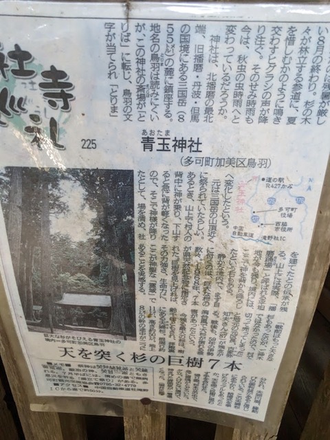 新聞記事
