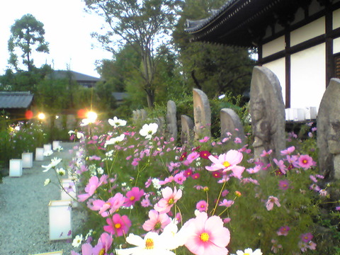 Image087