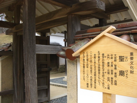 画像 181