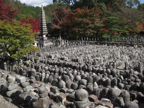 画像 229