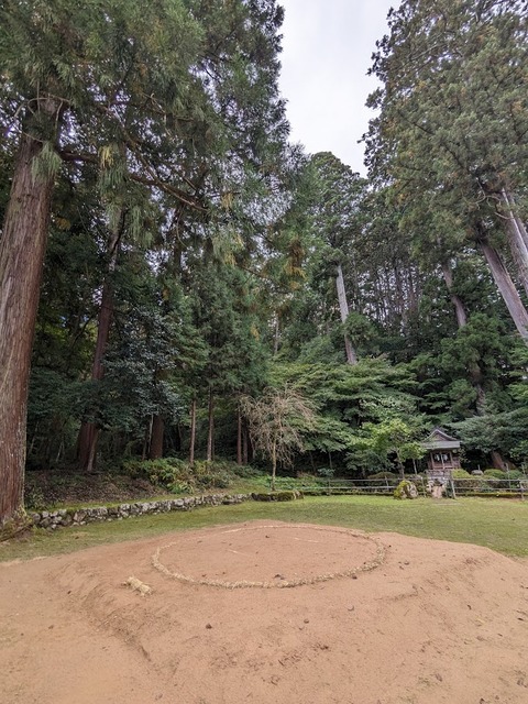 14.土俵