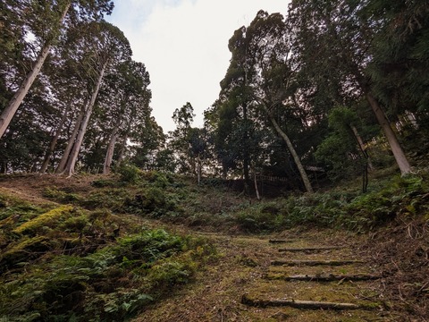 09.石段参道6