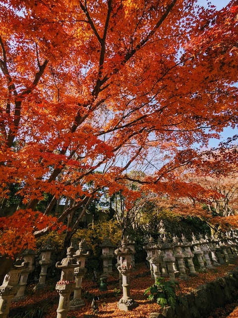 07.参道4