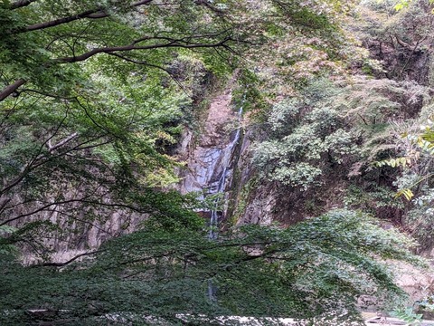 雌滝2
