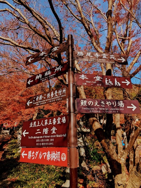 11.みちしるべ