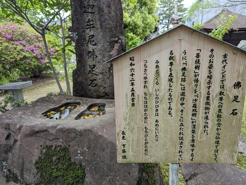 沸足石解説