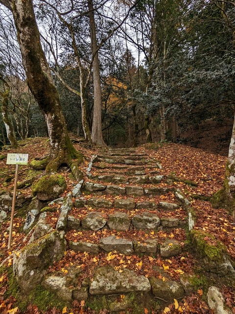 36.南の山中に伸びる道