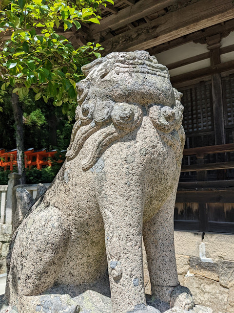 狛犬