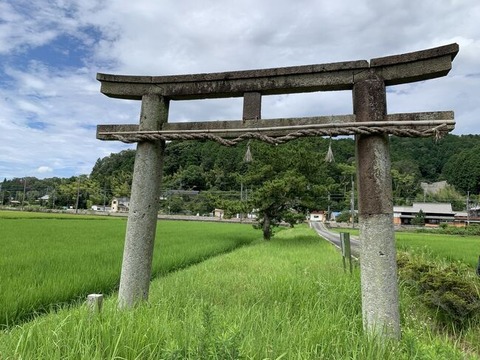 田んぼの中の鳥居
