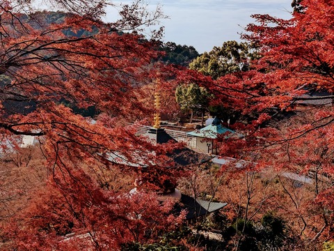 41.多宝塔6