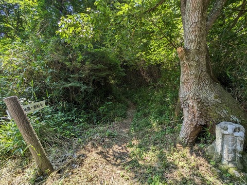 岩船寺への獣道