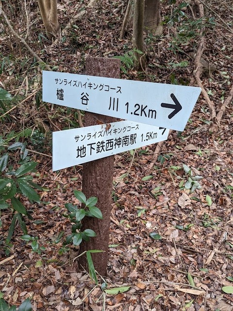 サンライズハイキングコース