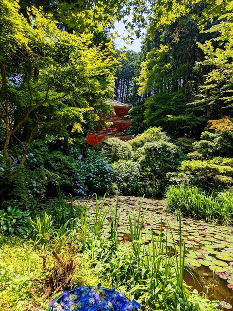 十三重石塔前から阿字池を2