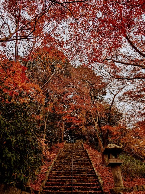 37.ア字山2