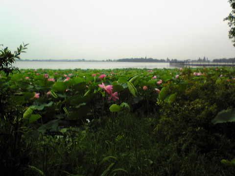 Image007