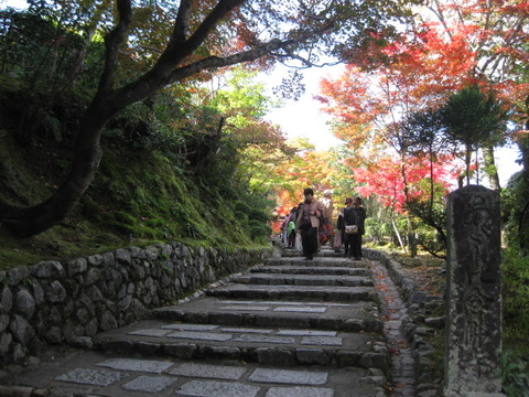 画像 222