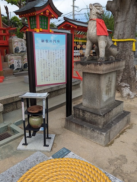 綱敷の円座
