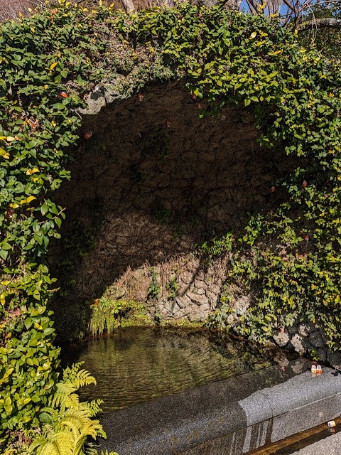17.緑と水