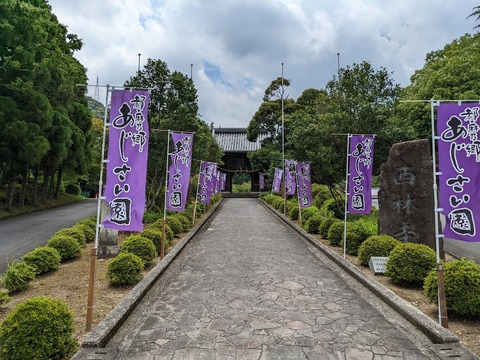 西林寺