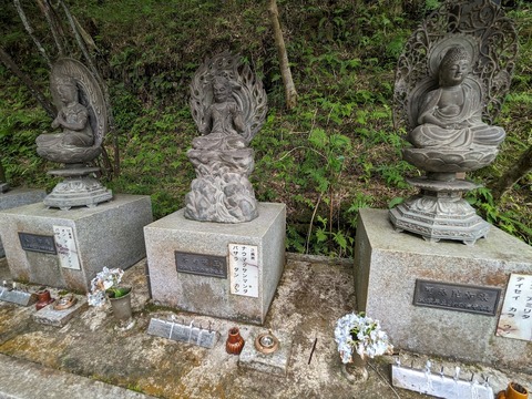八体沸2