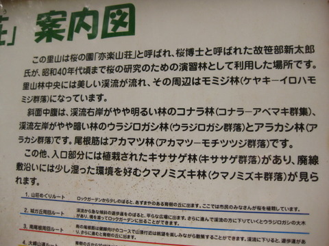 画像 012