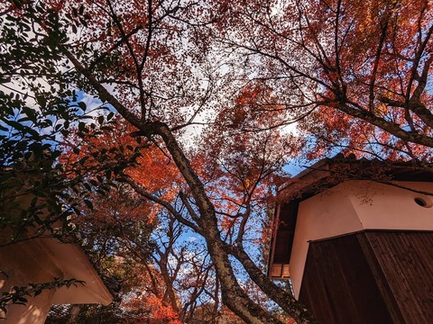13.右手の建物と黄色3