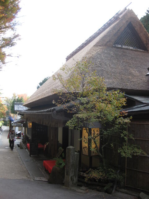 画像 246