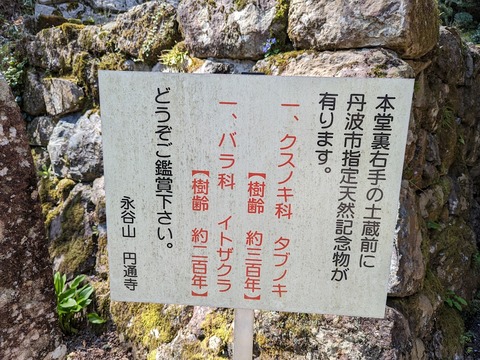 裏手の木々の案内