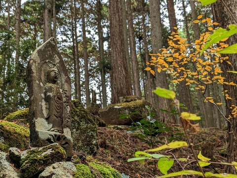 38.山のエリア13