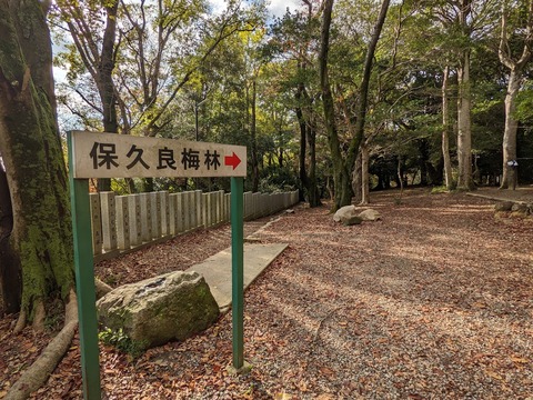 梅林入り口