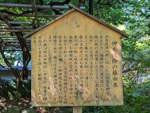 神木の祓除の藤解説
