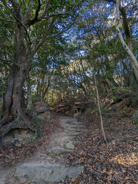 奥の院参道4
