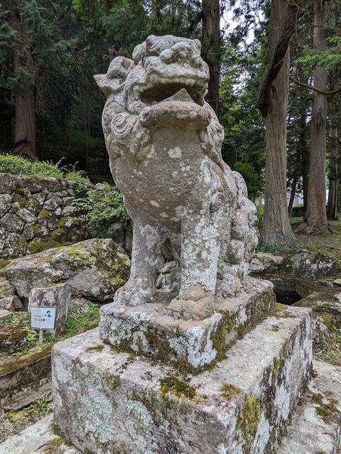 狛犬2