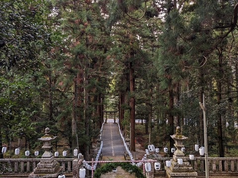 15.拝殿から振り返る