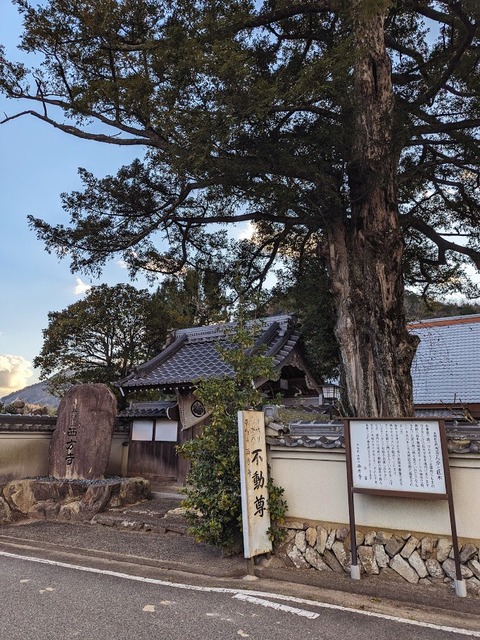 01.西方寺