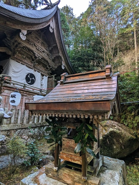 28.本殿と熊野神社