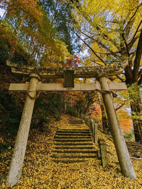08.二の鳥居