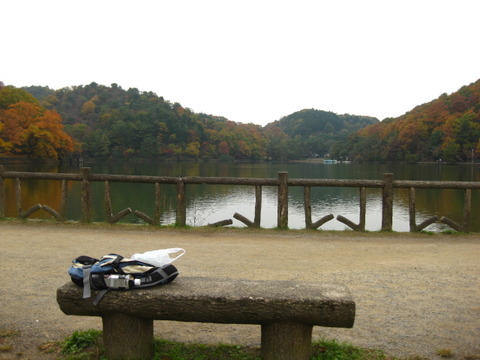 画像 115
