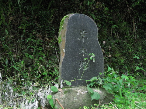 旅 250