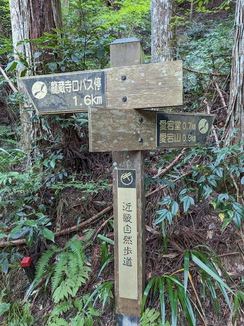 道しるべ