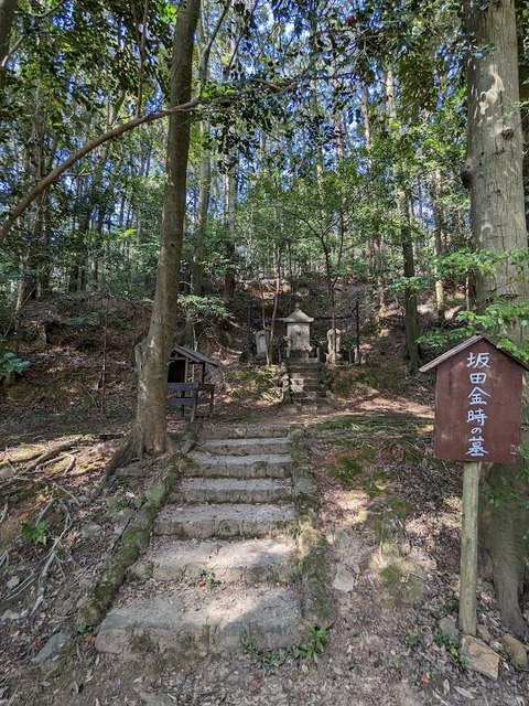 坂田金時の墓