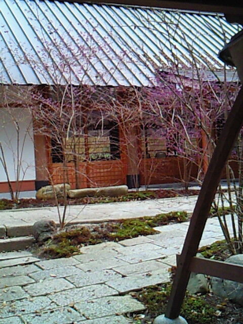SBCA0016