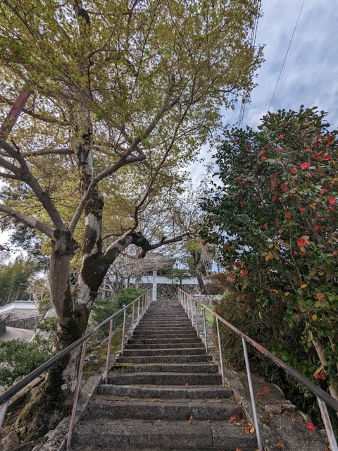 小童寺2