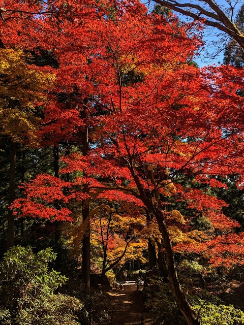 13.南北の通り2
