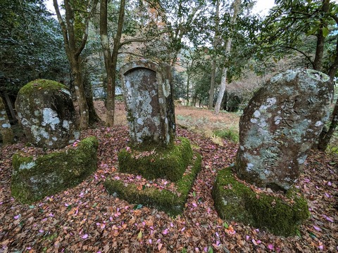 21.苔むした石3