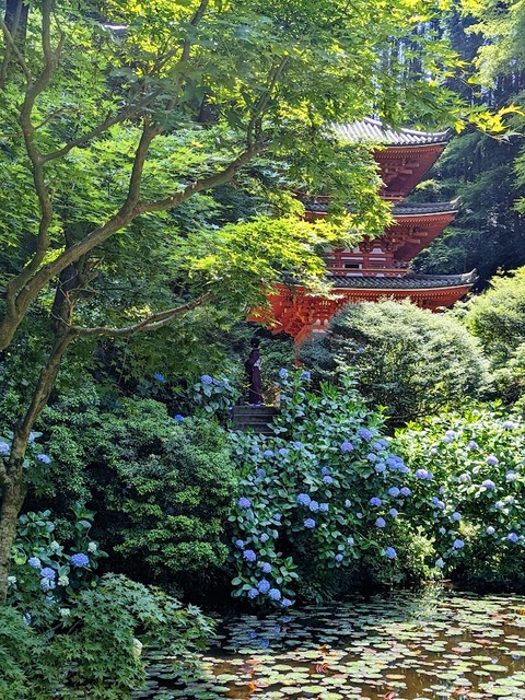 十三重石塔前から阿字池を4